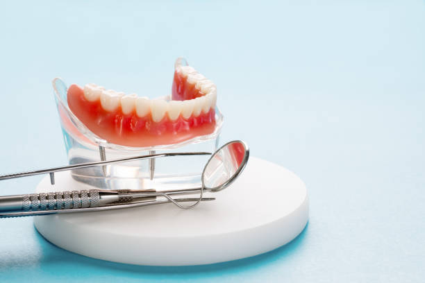 Best Root Canal Treatment  in Terrace Heights, WA